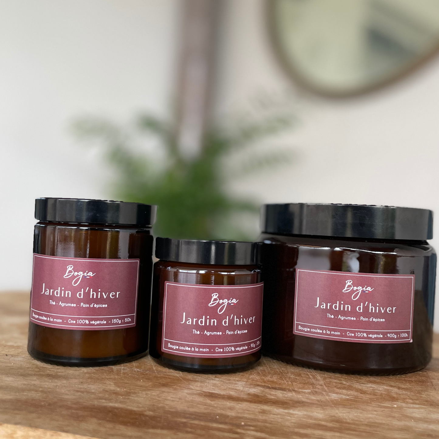 Bougie - Jardin d'hiver