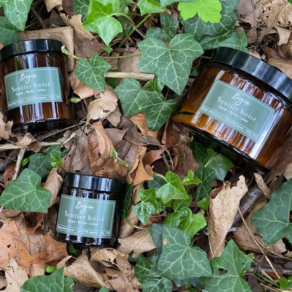 Bougie - Sentier boisé