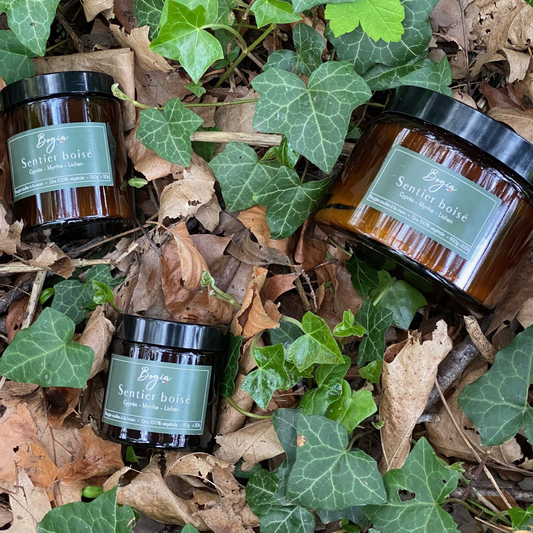 Bougie - Sentier boisé