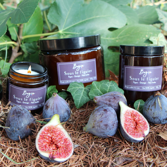 Bougie - Sous le figuier