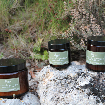 Bougie - Terres de garrigue